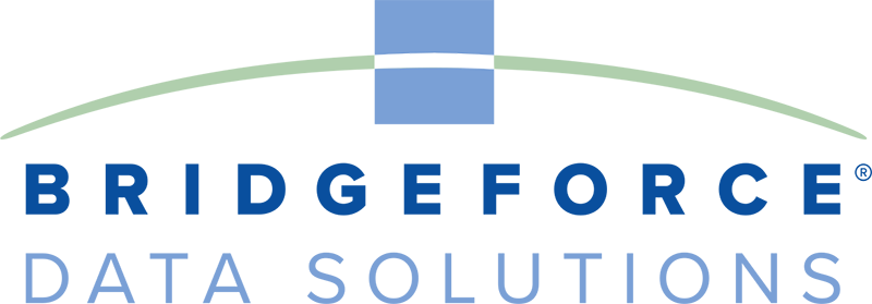 BRIDGEFORCE DATA SOLUTIONS logo removed background